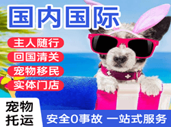 德宏芒市机场物流国际宠物托运 【国